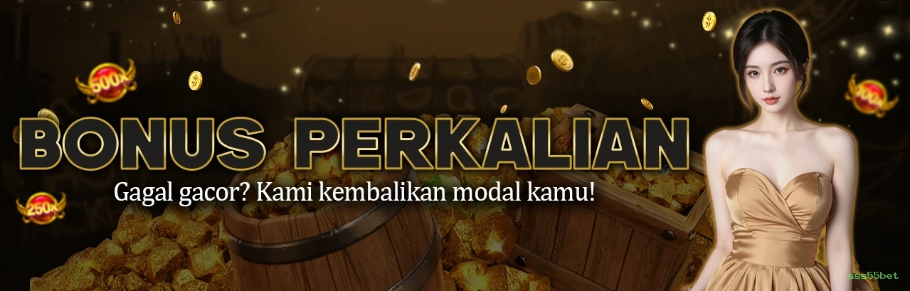 Experiência VIP sss55bet